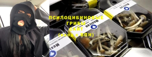 СК Бородино