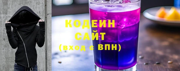 СК Бородино