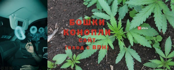 СК Бородино