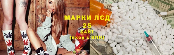 СК Бородино