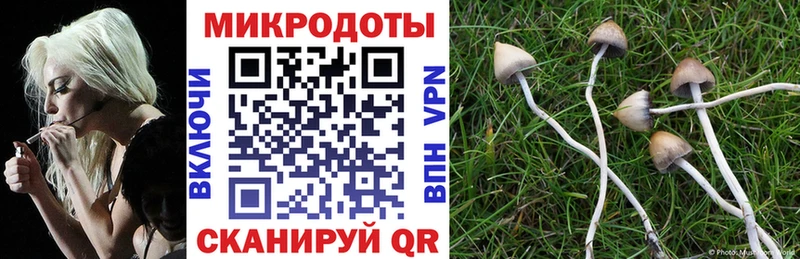 нарко площадка наркотические препараты  наркотики  Северодвинск  Псилоцибиновые грибы мухоморы 